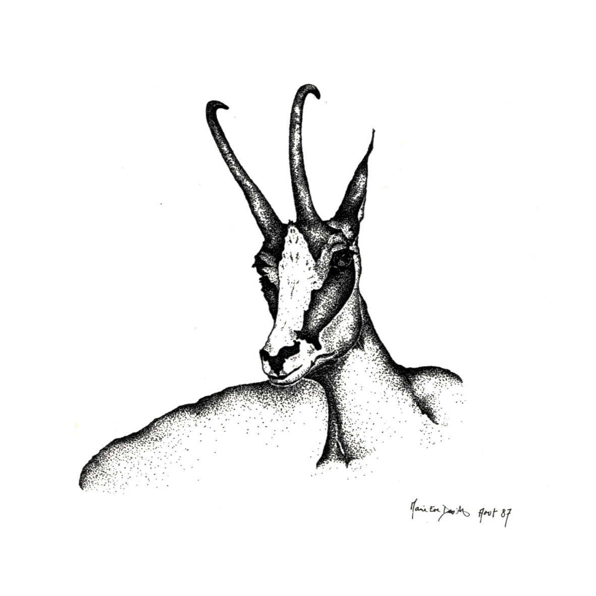 Chamois art et culture en arly